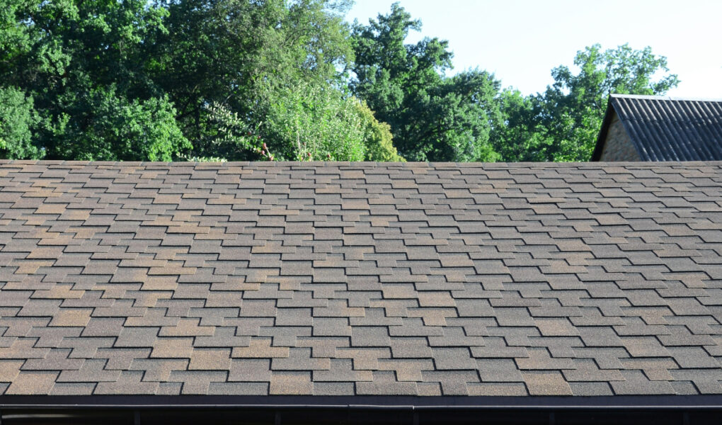 Toiture design Haute-Marne